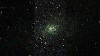 The Triangulum Galaxy through my telescope shorts space astronomy [upl. by Gunning]