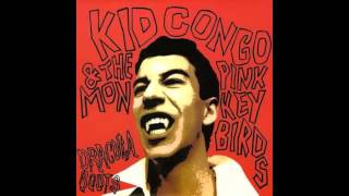 Kid Congo amp The Pink Monkey Birds  Bobo Boogie [upl. by Hoxie684]