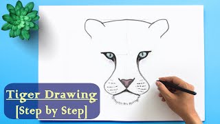 How to Draw a Tiger step by step ॥ Easy Tiger Drawing for Beginner [upl. by Arvonio]