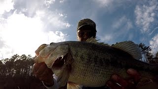 Bass Fishing Tips For Using Live Bait [upl. by Henderson]