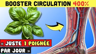 LUTTER CONTRE Mauvaise Circulation Jusqu’à 99 Avec Ces Herbes NATURELLES   Allez Santé [upl. by Mather41]