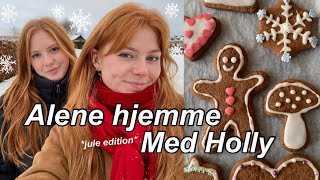 ALENE HJEMME MED HOLLY  Sne og julebagning [upl. by Enyahc762]