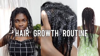 HAIR GROWTH ROUTINE  2 MONTHS OLD MINI BRAIDS TAKEDOWN PREP  MOISTURIZING amp SEALING [upl. by Gifferd]