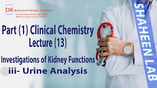 Clinical chemistry  Lecture 13  Investigations of Kidney functions 2   Clinical Pathology Course [upl. by Alue214]