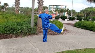 Yang Style Taijiquan in 108 Postures HD 720p [upl. by Annayr]