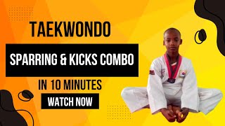 Taekwondo Sparring and Kick Combinations Master Round Kicks Back Kicks amp More [upl. by Koehler900]