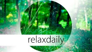 Slow and Peaceful Music  calm reflective  N°046 4K [upl. by Waverly]