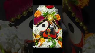 Jagannath jananadevotional shortfeed [upl. by Franci]