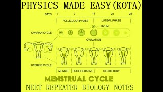 NEET REPEATER BIOLOGY NOTES MENSTRUAL CYCLE PROTISTA MONOECIOUS DATE PALM VEGETATIVILY  1 [upl. by Cornew]