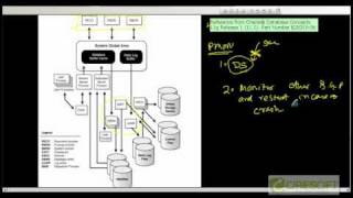 SCPT 20 Oracle Back Ground Processes PMONSMONRECO [upl. by Yadsnil916]