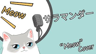 サラマンダー Salamander【quotMeowquot cover】 [upl. by Ahseiuqal]