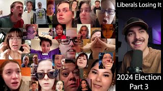 All The Lefties Losing It In The 2024 Election Part 3 [upl. by Ahseet309]