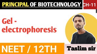 gel electrophoresis class 12th [upl. by Anaek]