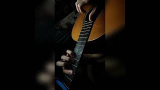 Indigo Night Tamino guitar cover [upl. by Manwell]