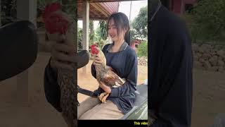 Murgha love Rooster lover girls in china murgha rooster [upl. by Lerraf]