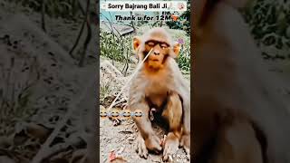 reels funny memes funny video [upl. by Enneillij370]