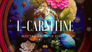 LCarnitine Morphic Field [upl. by Nevah]