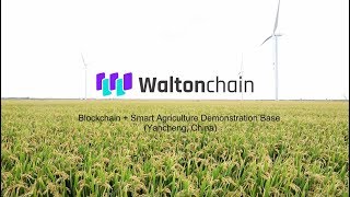 Waltonchains Blockchain  IoT solution for Smart Agriculture [upl. by Iman]