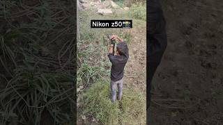 Nikon z50 outdoor photoshoot shorts photography swapnilphotography4 youtubeshorts [upl. by Avilys]