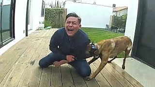 Police Dog Tracks Down Suspect Fleeing From LA Cops [upl. by Alyled]