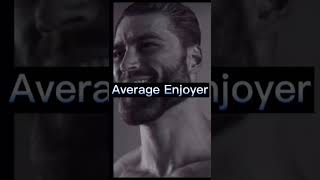 Average fan vs average enjoyer [upl. by Winn598]