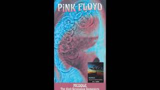 Pink Floyd  One Of These Days Demo  Longer Version [upl. by Wini47]