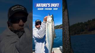 👑 King Salmon  the Puget Sound 👀 Vertical Jigging  Point Wilson Dart 🎯 Candlefish fishing [upl. by Atteyek]