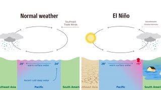 El Nino and La Nina [upl. by Joanne]