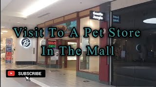 Visit To A Pet Store In The Mall [upl. by Hayila]