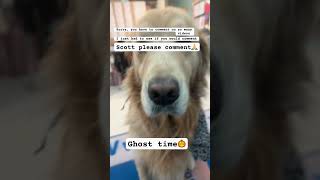 ⭐️Ghost time⭐️ goldenretriever jumanji scottfrenzel [upl. by Revilo]