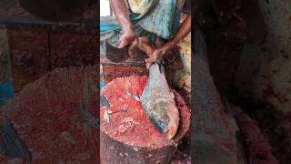 Fastest Cutting Skills For Large Cuttlefish In The Fish Market😱🤭  shorts fishcuttingskills [upl. by Richman]