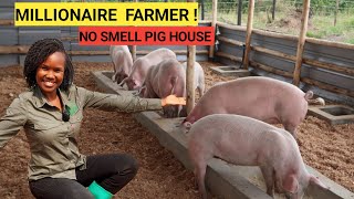 How Many PIGS To START A Simple Pig Farm Business  2024 Farm Routine [upl. by Enelyad]