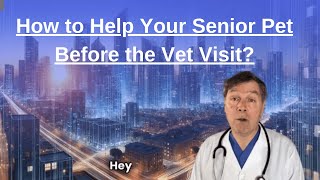 How to Help Your Senior Pet Before the Vet Visit [upl. by Janeen174]