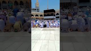 🥰🥰🥰masha allah beutifullmadina viralvideo love mashallahsubhanallah love islamicstatus [upl. by Asiole]