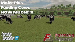 Feeding Cows  How much do they eat and why  MaizePlus  FS22 [upl. by Arda437]