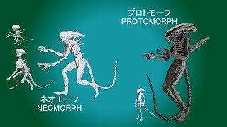 エイリアン：コヴェナントALIEN：COVENANTを解説してみました。 [upl. by Ynnad321]