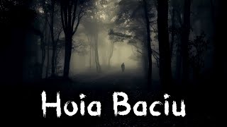 Padurea Hoia Baciu – documentar despre padurea bantuita de langa Cluj [upl. by Miguela]