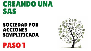 ¿Cómo constituir una SAS o persona moral de forma gratuita  Primer paso Autorización de nombre [upl. by Franza]