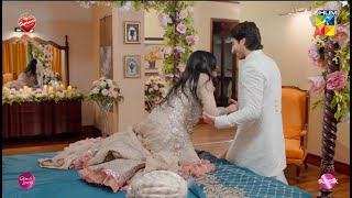 Aj Ki Raat Khoob Masti Hogi seharkhan hamzasohail  Fairy Tale  HUM TV [upl. by Chesney839]