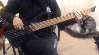 Theo Katzman  The Death Of Us Bass Cover [upl. by Naitirb]