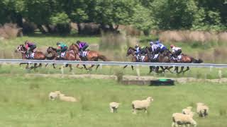 Waipukurau Trials 31 10 2024 Heat 7 [upl. by Haret]