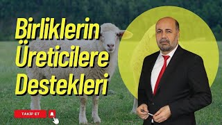 TÃœRKÄ°YEDE BÄ°RLÄ°KLERÄ°N DURUMU  OSMAN TÃœRKMAN Ä°LE HAYVANCILIÄA DAÄ°R [upl. by Kloster544]