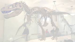 The “Real TRex” AMNH 5027 Speedpaint [upl. by Nayhr]