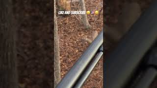 BIG BUCK hunting deerhunting deerseason whitetaildeer bigbucks comedy youtube youtubeshorts [upl. by Elston]