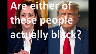 Is it racist to remark out loud that Kamala Harris isn’t really black [upl. by Aimek]