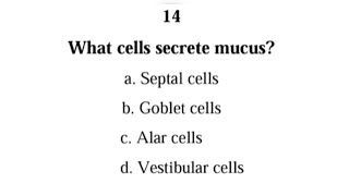 Understand the NOSE and PHARYNX with these 30 MCQS and answers  Respiratory system [upl. by Ennavoj694]