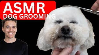 CUTEST FLUFFY CLOUD  ASMR dog grooming [upl. by Ronnholm541]