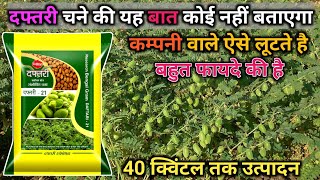 daftari 21 chana seed  chane ki kheti chane ki best variety दफ्तरी 21 चने की खेती Daftari 21 chana [upl. by Ard]