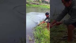 There are so many fish in this pond 这个池塘里面鱼真多呀 rurallife outdoors fishfood fishtrip Xiaomei [upl. by Philcox]