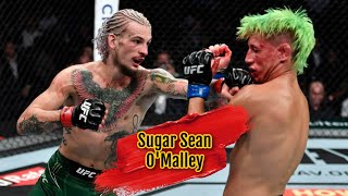 Sugar Sean OMalley Best Knockouts  Highlights  “Soldier” [upl. by Alys]